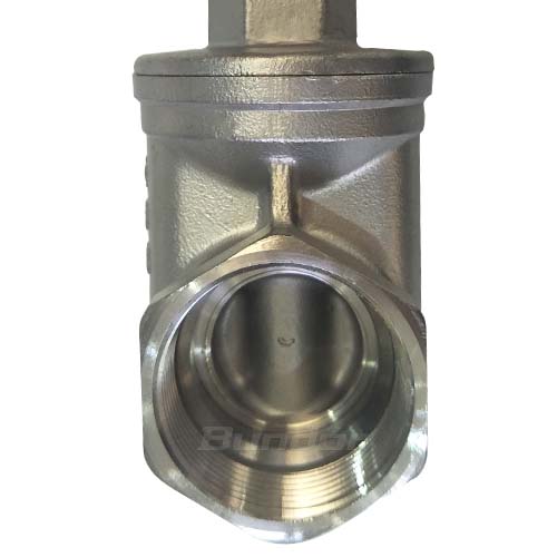 Stainless Steel Thread Gate Valve3